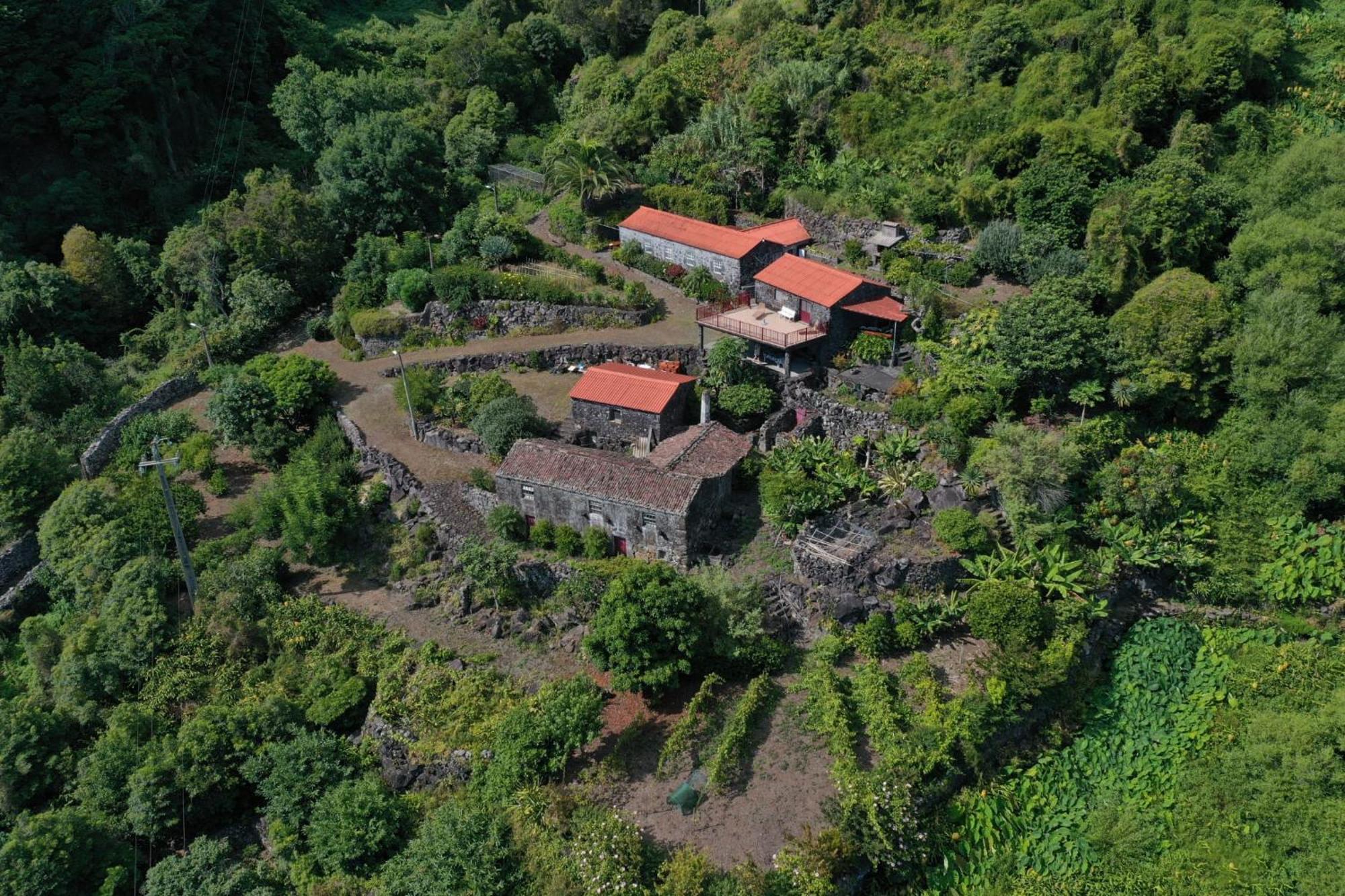 Vistalinda Farmhouse Faja dos Vimes Exteriör bild